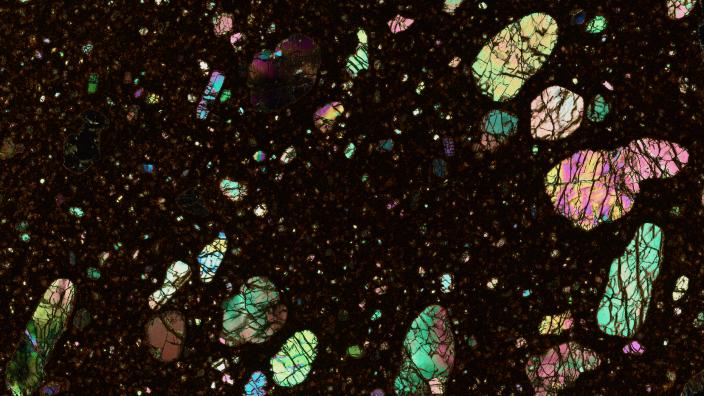 Olivine lamproite in thin section (cross-polarized light) with crystals of olivine in a phlogopite-rich groundmass, Ellendale 9, West Kimberley Province. Field of view is 24 mm wide. Western Australian Museum specimen number WAM R5.2009.